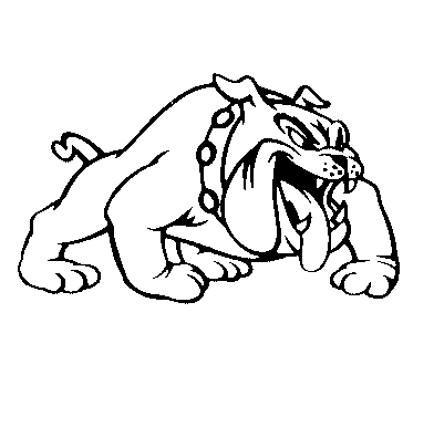 bull dog